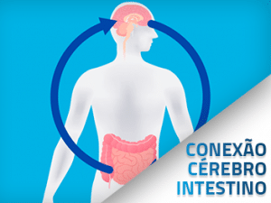 Conexão entre o Cérebro e Intestino: A Incrível Relação | Clínica Ethos