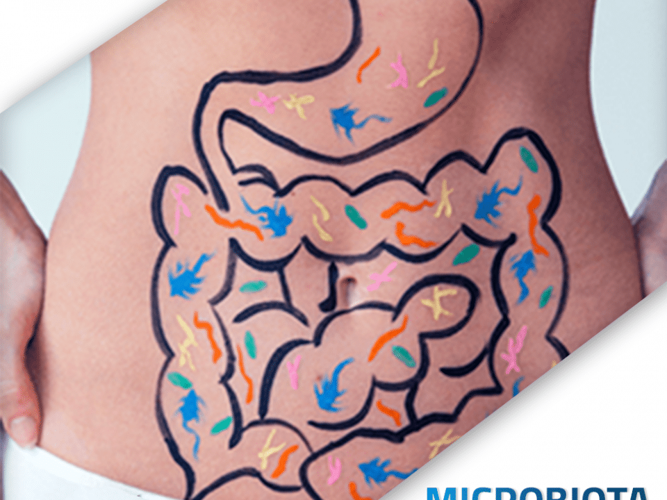 microbiota instestinal